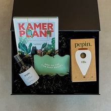 Afbeelding in Gallery-weergave laden, Kamerplant