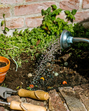 Afbeelding in Gallery-weergave laden, Bloembommetjes - Happy new home