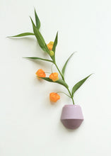 Afbeelding in Gallery-weergave laden, Wandvaasje Hanneke - Form