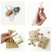 Afbeelding in Gallery-weergave laden, Blossombs bloembommetjes. Goed voor bijen en vlinders. Strooi deze vrolijk gekleurde zaadbommetje waar je maar wilt en hier ontstaan mooie wilde bloemen. Zaaitijd van maart t/m september