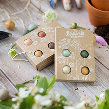 Afbeelding in Gallery-weergave laden, Blossombs bloembommetjes. Set van 4 gekleurde zaadbommetjes. Goed voor insecten.