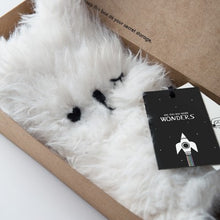 Afbeelding in Gallery-weergave laden, Wonder pal - Aye Hart - Mana' O Nani