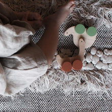 Afbeelding in Gallery-weergave laden, Pinch toys - Turtle and Duck