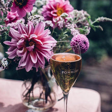 Afbeelding in Gallery-weergave laden, Pommery Rosé Champagne.