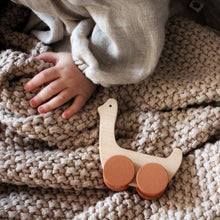 Afbeelding in Gallery-weergave laden, Pinch toys - Turtle and Duck