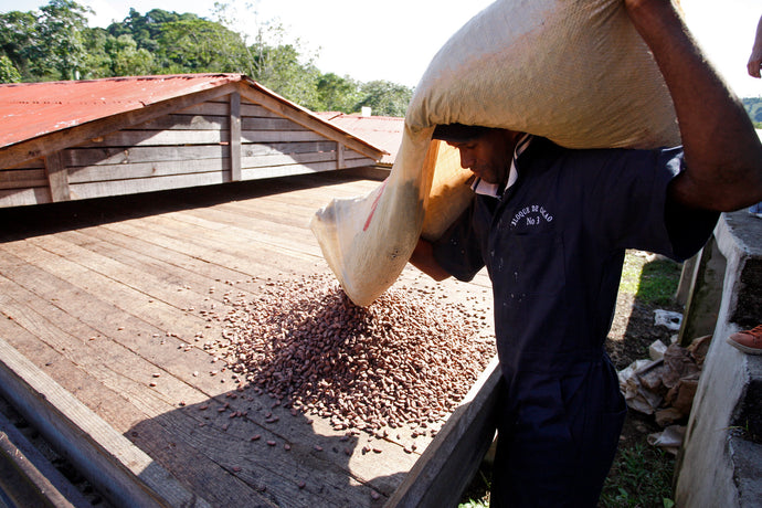 De meest duurzame (en lekkere) chocola: Chocolate Makers