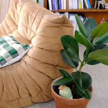Afbeelding in Gallery-weergave laden, Pepin Olla - Licht groen
