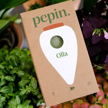 Afbeelding in Gallery-weergave laden, Pepin Olla - Licht groen
